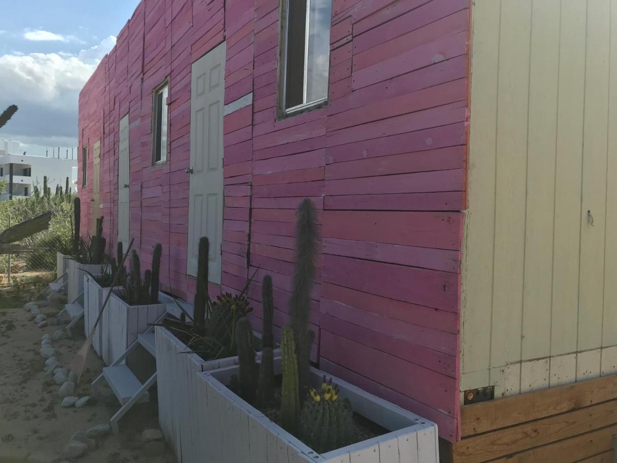 Susu'Z Village Hostel And Rooms La Ventana 外观 照片