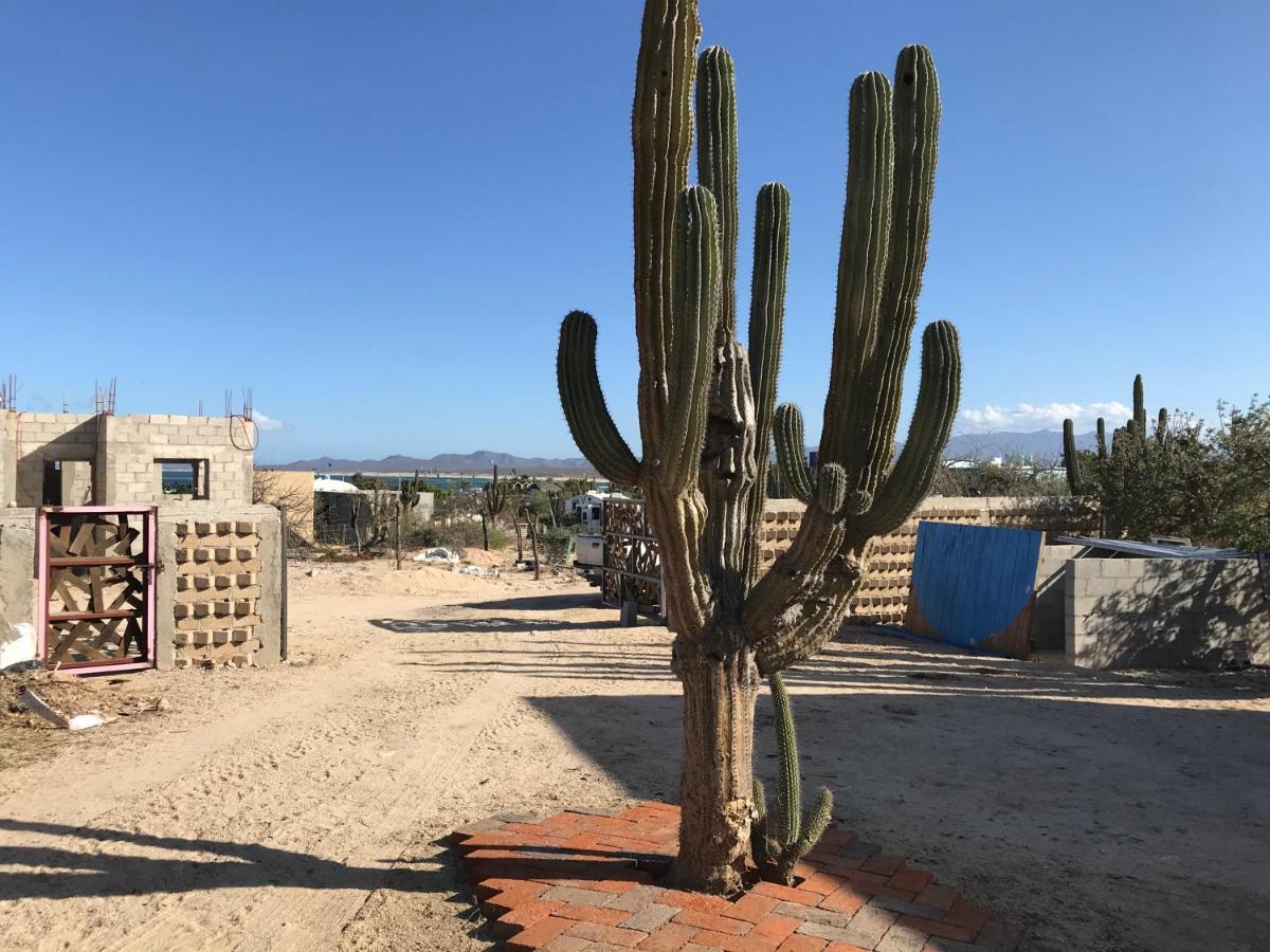 Susu'Z Village Hostel And Rooms La Ventana 外观 照片