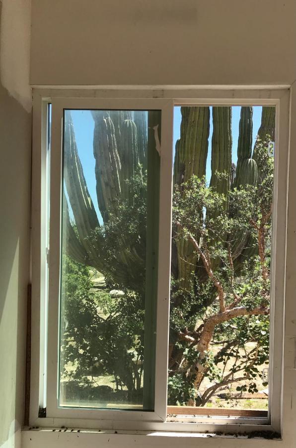 Susu'Z Village Hostel And Rooms La Ventana 外观 照片